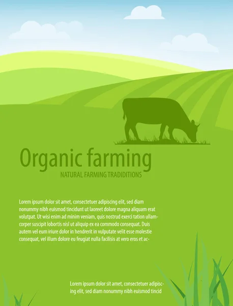 Rolnictwo ekologiczne. Naturalne tradycje rolnicze. — Wektor stockowy