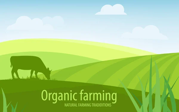 Rural landscape organic farming background — Stock Vector