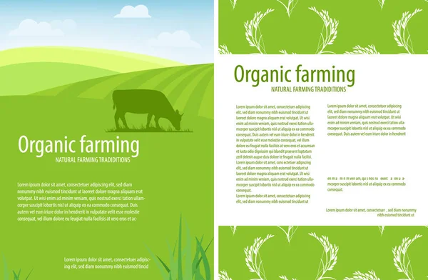 Agricultural rural landscape template design — Stock Vector
