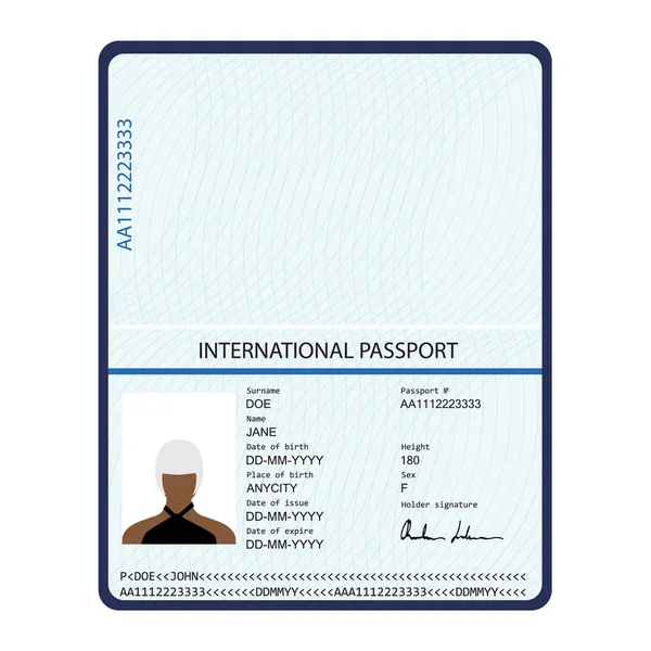 Data pribadi dokumen identifikasi paspor - Stok Vektor