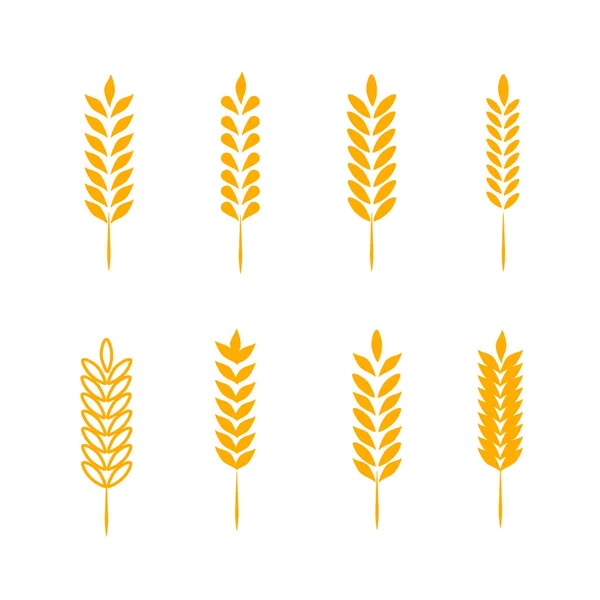 Піктограми пшеничних вух та набір логотипів — стоковий вектор
