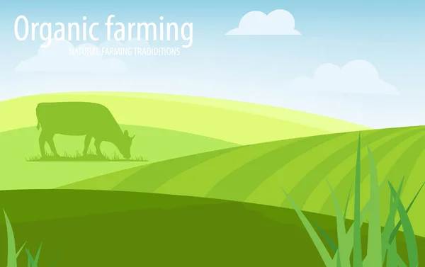 Rural landscape organic farming raster illustration — Stock Vector