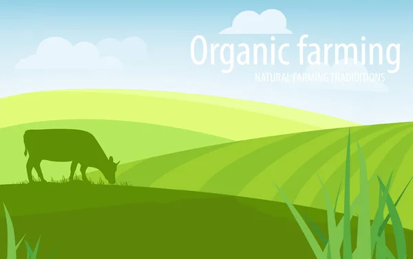 Paisaje rural agricultura ecológica trama ilustración — Vector de stock