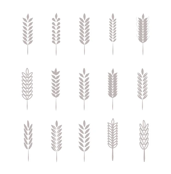 Weizenähren Symbole und Logo Set — Stockfoto