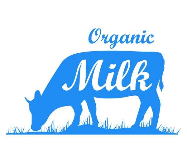 Milk cow dairy organic blue — Stock Photo, Image