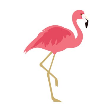 Raster Illustrasyon pembe flamingo. Egzotik kuş. Havalı flamingo dekoratif düz tasarım elemanı. Güzel flamingo.