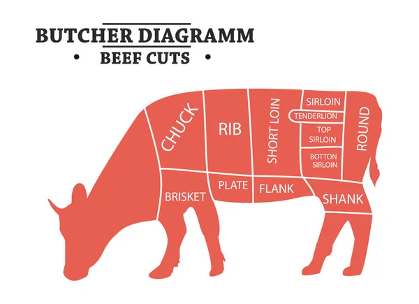 Potongan Daging Sapi Diagram Tukang Jagal Poster Sapi Gambar Tangan - Stok Vektor