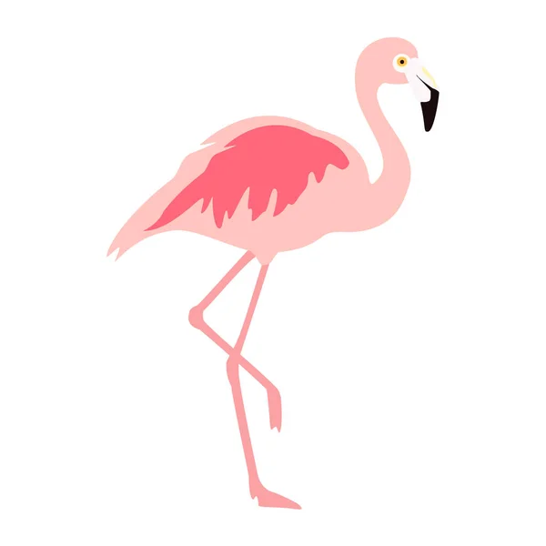 Vektör Çizimi Pembe Flamingo Egzotik Kuş Havalı Flamingo Dekoratif Düz — Stok Vektör