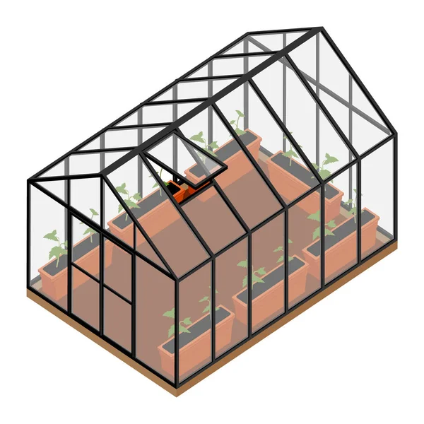 유기농 농장의 아이소메트릭 내부에서 식물을 재배합니다 글래스 하우스 — 스톡 사진