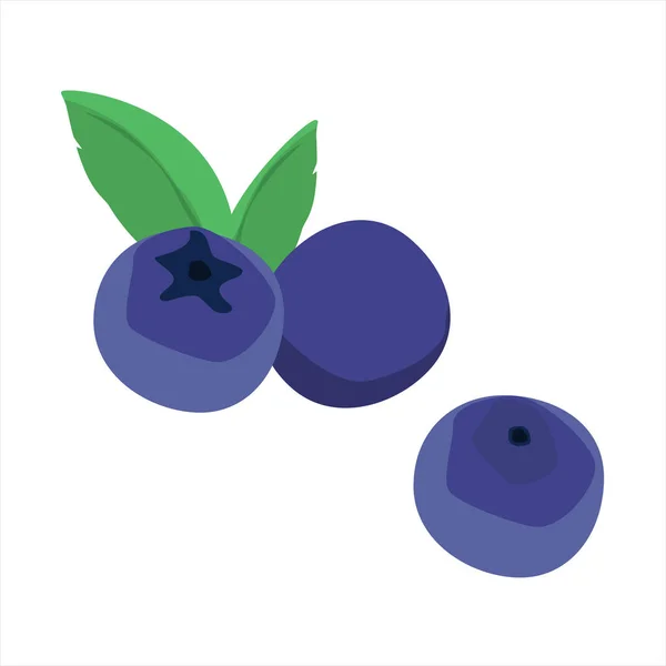 Blueberry Segar Dengan Daun Blueberry Terisolasi Pada Latar Belakang Putih - Stok Vektor