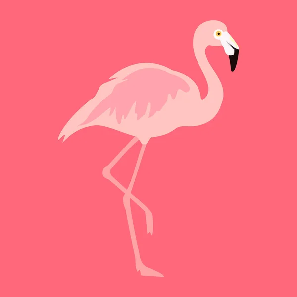 Flamingo Tropisk Fågel Rosa Bakgrund Vektor — Stock vektor