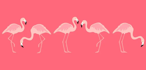 Flamingo Tropických Ptáků Růžovém Pozadí Vektor — Stockový vektor