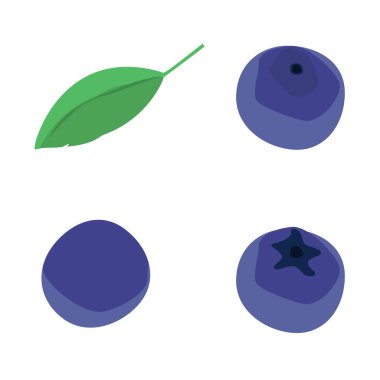 Beyaz arka planda yaban mersini ve yaban mersini yaprağı var. Taze meyveler. Vektör