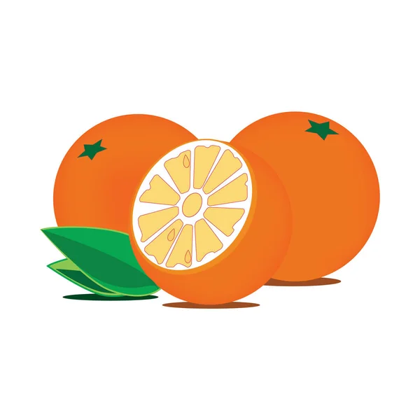 Ekologisk Apelsin Frukt Isolatad Vit Bakgrund Tropisk Frukt Vitamin Vektor — Stock vektor
