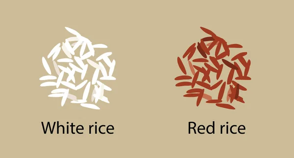 茶色の背景に ベクトルに隔離された白いParboiledと赤の貨物米の2つの一握り 健康的な食事 ベジタリアン料理 デザイン要素 — ストックベクタ