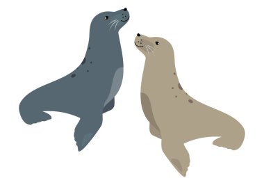 Beyaz, raster illüstrasyon izole şirin deniz hayvanı ikonu fok