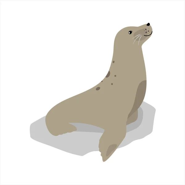 海豹可爱的海洋动物图标孤立在白色 栅格插图 — 图库照片