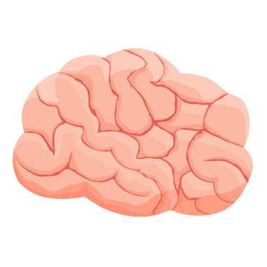 İnsan beyni, beyaz arka planda izole edilmiş. Çizgi film tarzı. Beyin vektörü simgesi