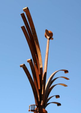 Paslı bir demir tavus kuşu, Güney Afrika 'nın küçük bir kasabası olan Prens Albert' in sanat atölyesine giriyor.