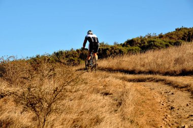 Durbanville 'de bir dağ bisikletçisinin Batı Burnu yarışında tepeye çarpması.