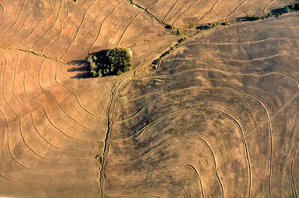 Luchtopname Van Het Contourpatroon Van Een Geploegd Veld Dat Eruit — Stockfoto