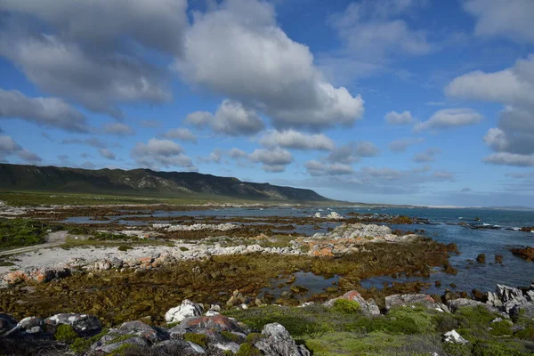 Hint Atlantik Okyanuslarının Birleştiği Agulhas Yakınlarında Tamamen Doğal Bir Kıyı — Stok fotoğraf