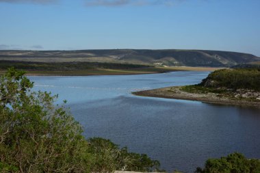 De Hoop Doğa Rezervi 'ndeki Vlei, sular yükselmeye başlayınca güzelce doluyor. Pembe flamingolar için iyi besleniyorlar.
