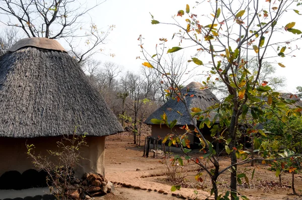 The peaceful environment of a typical rest camp in an African game reserve in Zimbabwe