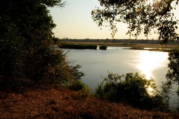 Tranquilidade Tardia Com Vista Para Rio Mwenezi Parque Nacional Ghonarezou — Fotografia de Stock