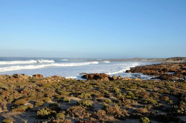 Kurak Batı Kıyısı soğuk Atlantik Okyanusu ile buluşuyor.