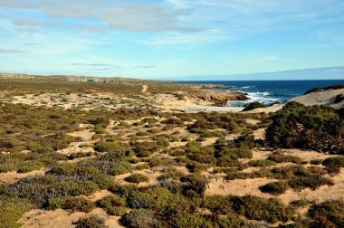 Atlantik Okyanusu üzerinde Güney Afrika 'nın batı kıyısının kurak yarı çölü.