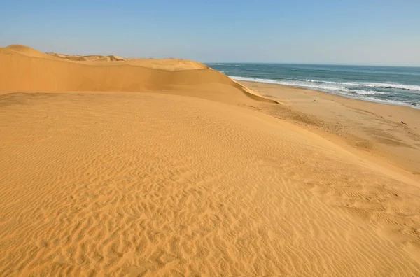 Namib Çölü, Namibya 'nın batı kıyısında Atlantik Okyanusu ile buluşuyor.