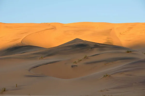 Certaines Dunes Dans Désert Namib Contiennent Sable Noir Qui Est — Photo