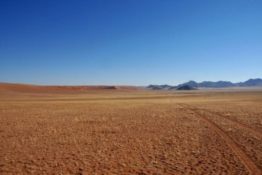 Namib Çölü 'ndeki sonsuz Haiber düzlüklerinde bir maceracının izleri. 