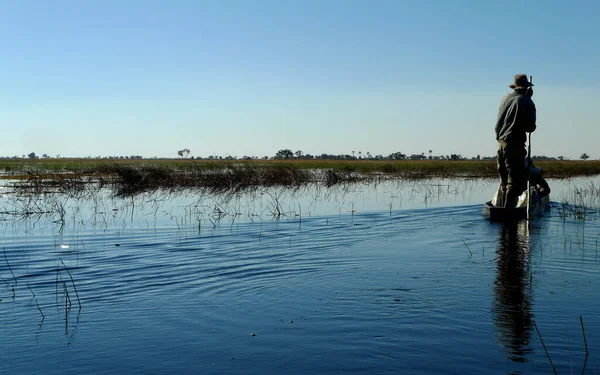 Dug Out Canoes Have Been Mode Transport Centuries Okavango Delta — Stock Photo, Image