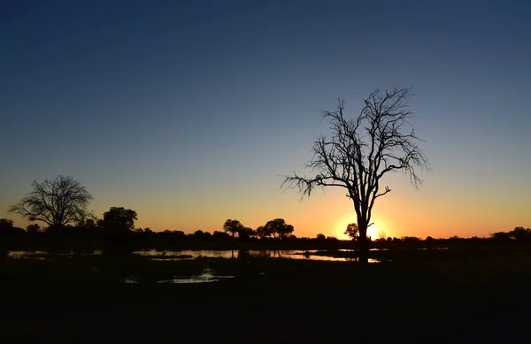 Die Nächtliche Ankunft Botswana Über Den Kwai Fluss Ist Eines — Stockfoto