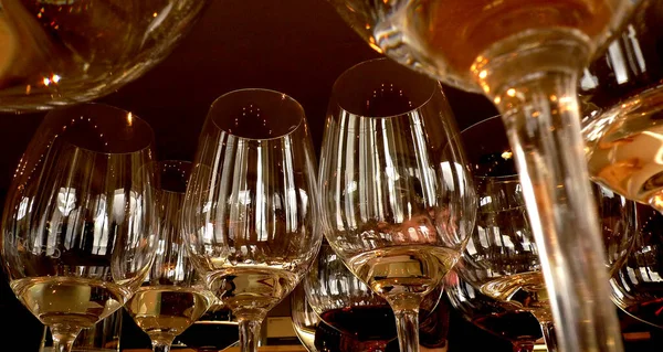 The glasses are set out for a comprehensive wine tasting in the Cape Winelands