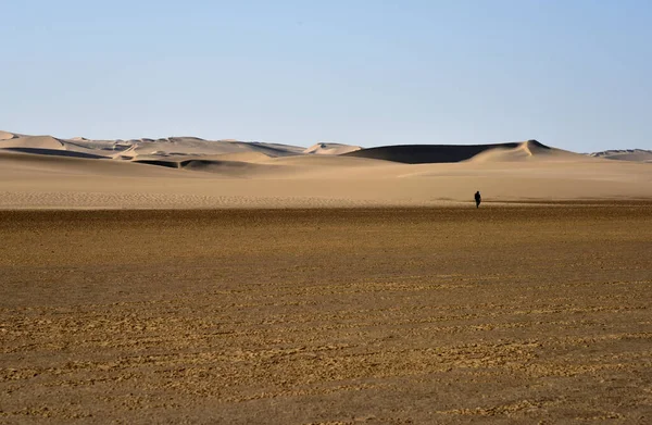 Randonnée Travers Namib Qui Est Vieux Désert Monde — Photo