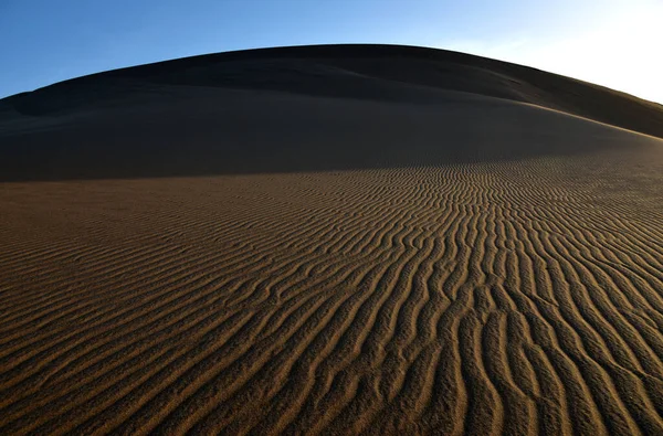 Een Namib Woestijn Duin Late Namiddag Zon Vertonend Interessante Wind — Stockfoto