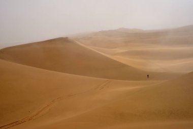 Sabah sisinin içinde yalnız bir yürüyüşçü Namib Çölü 'nün kumullarında araç izlerini takip ediyor.
