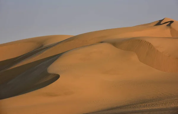 Prachtige Duinen Van Namibische Woestijn Wordt Gevormd Voortdurend Hervormd Door — Stockfoto