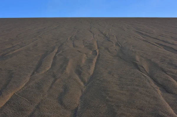 Eine Große Flache Dünenfläche Der Namib Wüste Mit Einem Windgepeitschten — Stockfoto