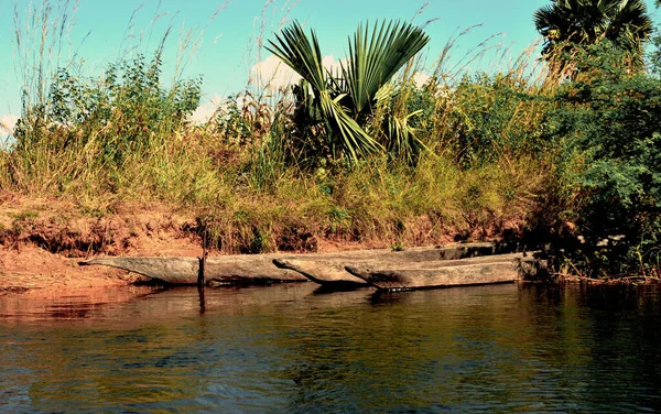 Three Parked Dug Out Canoes Waiting Fishing Zambezi River Zambia — Stock Photo, Image