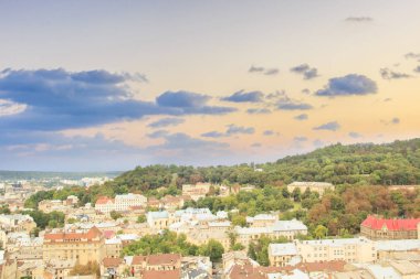 Dominik Katedrali, varsayım kilise ve tarihi merkezi Lviv, Ukrayna, güneşli bir günde güzel manzara