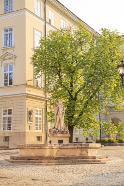 Anıtın sokaklarda Lviv, Ukrayna'nın güzel manzarasına