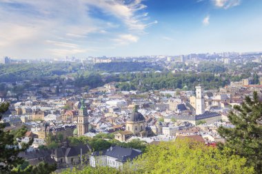 Dominik Katedrali, varsayım kilise ve tarihi merkezi Lviv, Ukrayna, güneşli bir günde güzel manzara