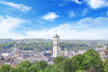 Dominik Katedrali, varsayım kilise ve tarihi merkezi Lviv, Ukrayna, güneşli bir günde güzel manzara