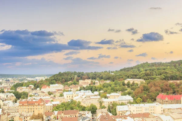 Dominik Katedrali, varsayım kilise ve tarihi merkezi Lviv, Ukrayna, güneşli bir günde güzel manzara