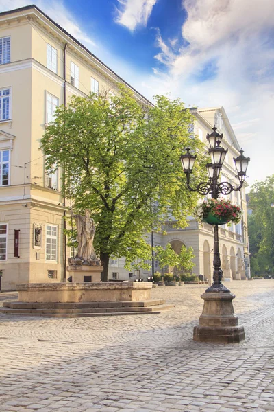 Anıtın sokaklarda Lviv, Ukrayna'nın güzel manzarasına
