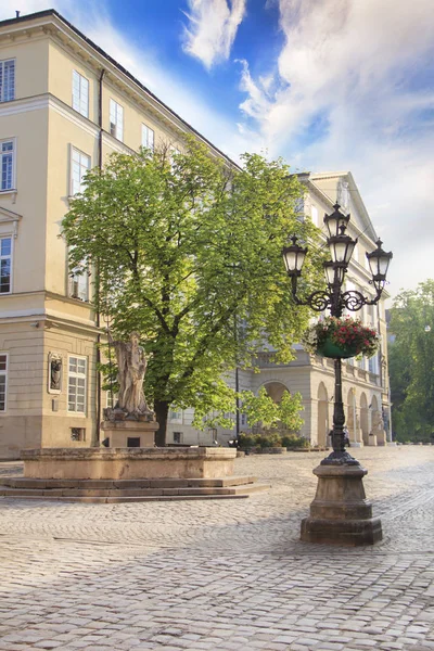 Krásný Výhled Pomníku Ulici Lvov Ukrajina — Stock fotografie